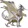 Unnamed dragon