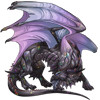 Unnamed dragon