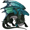 Unnamed dragon