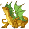 Unnamed dragon