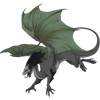 Unnamed dragon