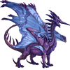 Unnamed dragon