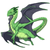 Unnamed dragon