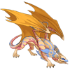 Unnamed dragon