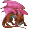 Unnamed dragon