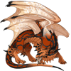 Unnamed dragon