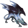 Unnamed dragon