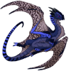 Unnamed dragon