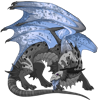 Unnamed dragon