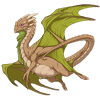 Unnamed dragon