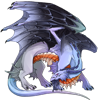 Unnamed dragon