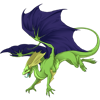 Unnamed dragon