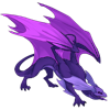 Unnamed dragon