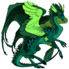 Unnamed dragon