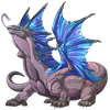 Unnamed dragon