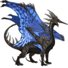 Unnamed dragon