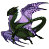 Unnamed dragon