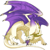 Unnamed dragon