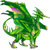 Unnamed dragon