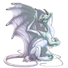 Unnamed dragon