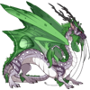 Unnamed dragon