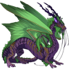 Unnamed dragon