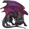 Unnamed dragon