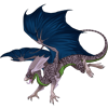 Unnamed dragon