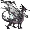 Unnamed dragon