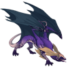 Unnamed dragon