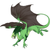 Unnamed dragon