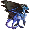 Unnamed dragon