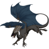 Unnamed dragon