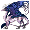 Unnamed dragon