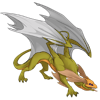 Unnamed dragon