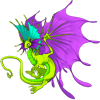 Unnamed dragon