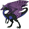 Unnamed dragon