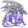 Unnamed dragon