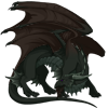 Unnamed dragon