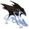 Unnamed dragon