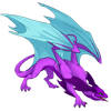 Unnamed dragon