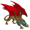 Unnamed dragon