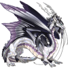 Unnamed dragon