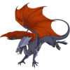 Unnamed dragon