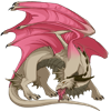 Unnamed dragon