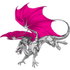 Unnamed dragon