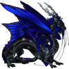 Unnamed dragon