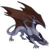 Unnamed dragon