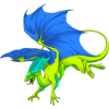 Unnamed dragon