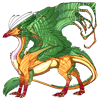 Unnamed dragon